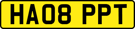 HA08PPT