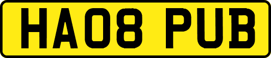 HA08PUB