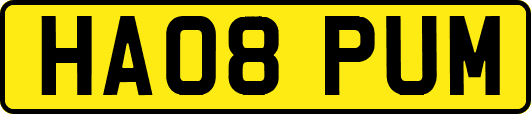 HA08PUM