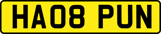 HA08PUN