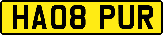 HA08PUR