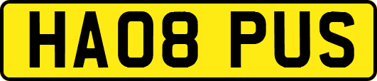 HA08PUS