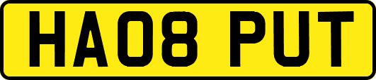 HA08PUT