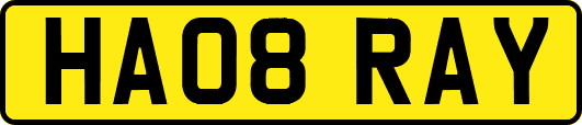 HA08RAY