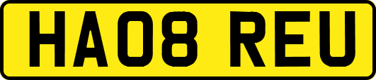 HA08REU