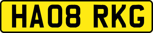 HA08RKG