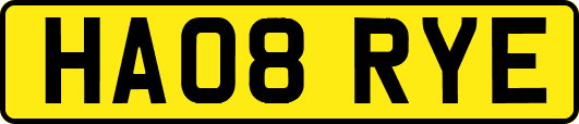 HA08RYE