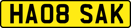 HA08SAK