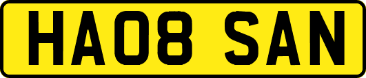 HA08SAN