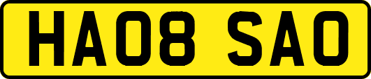 HA08SAO