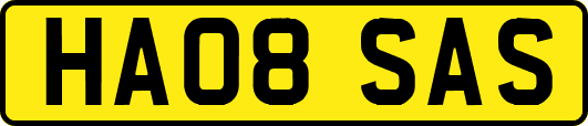 HA08SAS