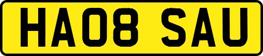 HA08SAU