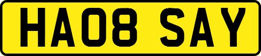 HA08SAY