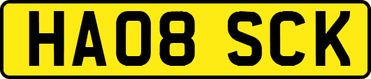 HA08SCK