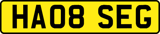 HA08SEG