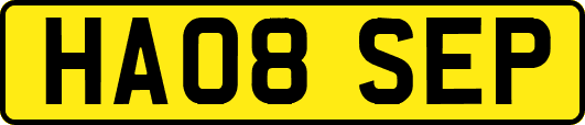 HA08SEP