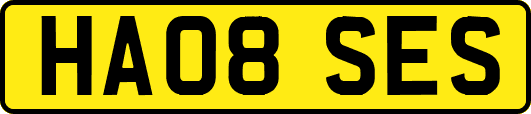 HA08SES