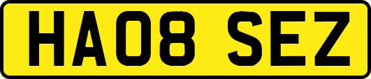 HA08SEZ