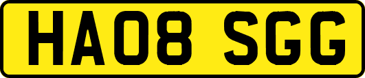 HA08SGG