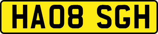 HA08SGH
