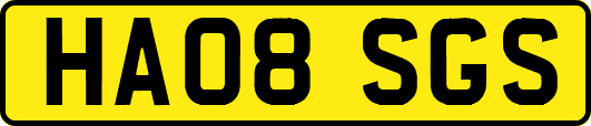 HA08SGS