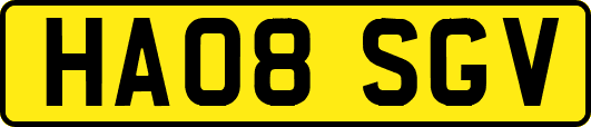 HA08SGV