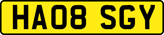 HA08SGY