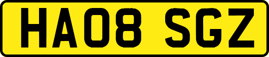 HA08SGZ