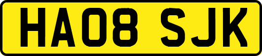 HA08SJK
