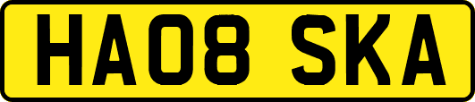 HA08SKA