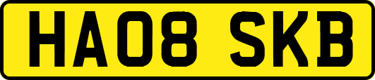 HA08SKB