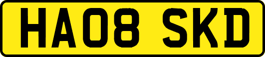 HA08SKD