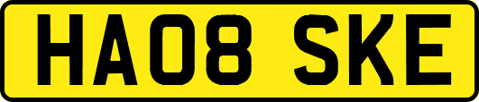 HA08SKE