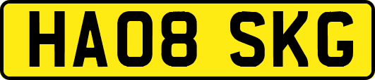 HA08SKG