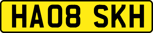 HA08SKH
