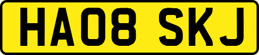 HA08SKJ