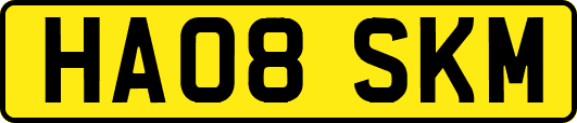 HA08SKM
