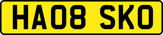 HA08SKO