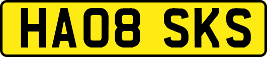HA08SKS