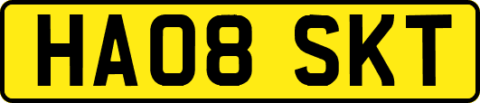 HA08SKT
