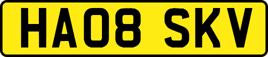 HA08SKV