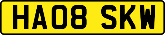 HA08SKW