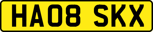 HA08SKX
