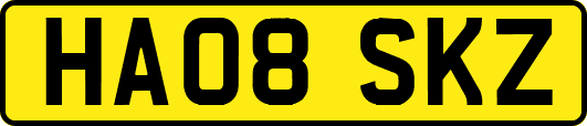HA08SKZ