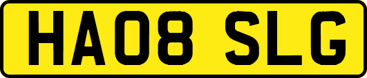 HA08SLG