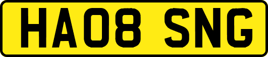 HA08SNG
