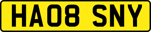 HA08SNY