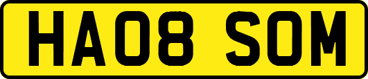 HA08SOM