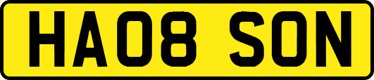 HA08SON