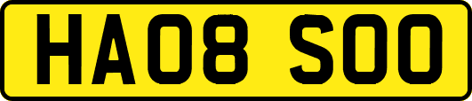 HA08SOO